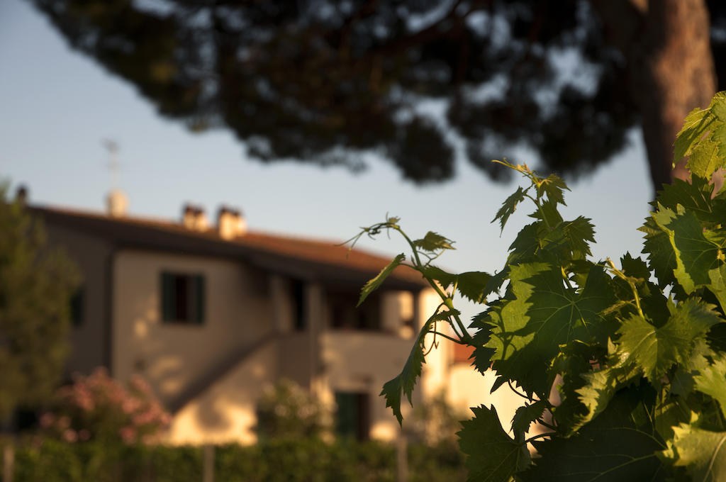 Agriturismo Quattro Pini Castagneto Carducci Exterior photo